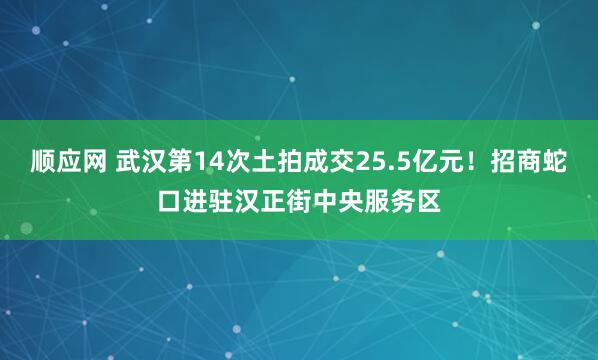 顺应网 武汉第14次土拍成交25.5亿元！招商蛇口进驻汉正街中央服务区