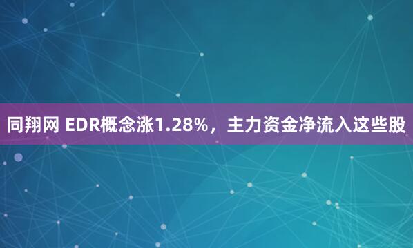 同翔网 EDR概念涨1.28%，主力资金净流入这些股