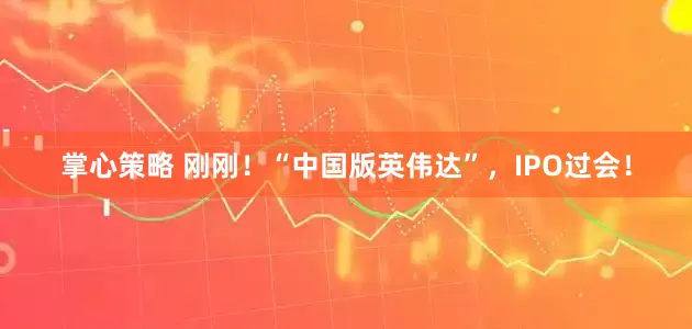 掌心策略 刚刚！“中国版英伟达”，IPO过会！